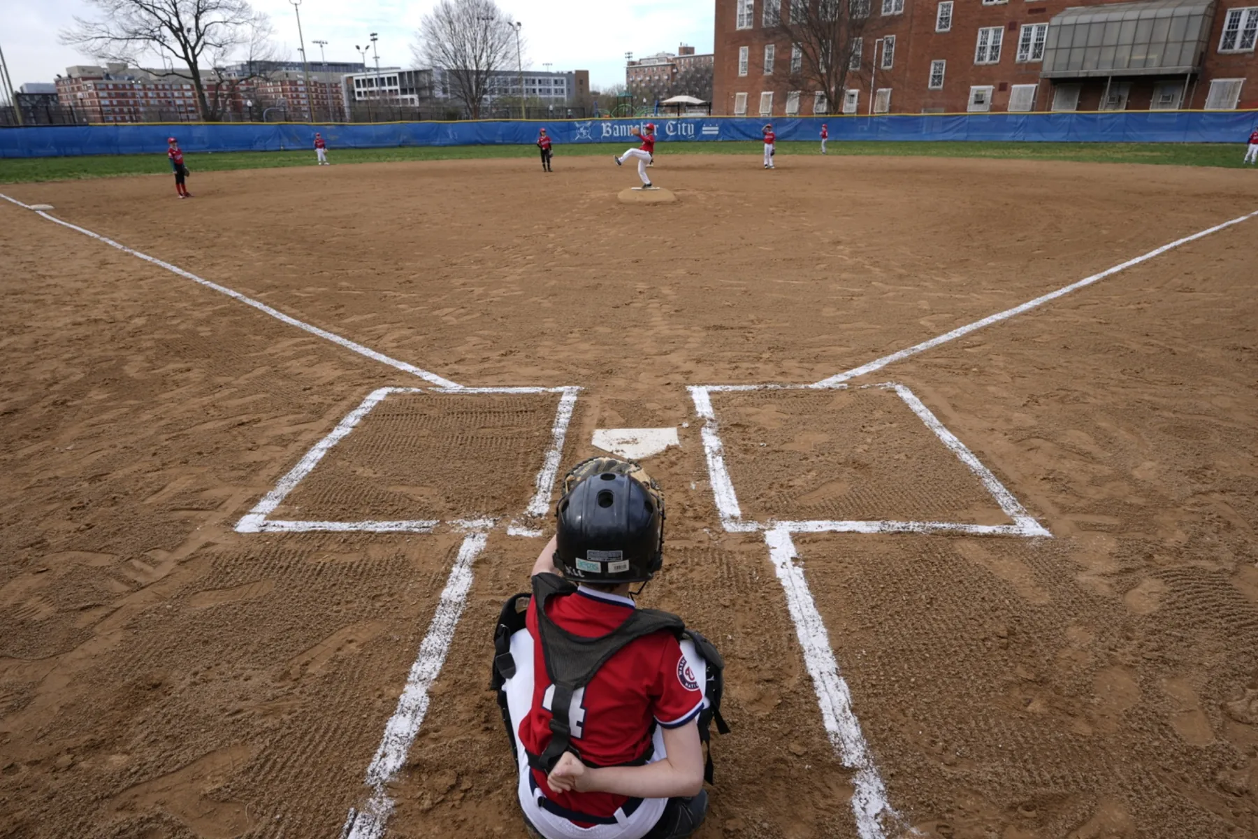 Young baseball catcher overlooking the field